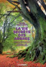 Couverture du livre "La vie secrète des arbres"